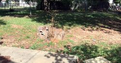 SOLD – 1711 W. Washington Denison TX 75020 SOLD – 1711 W. Washington Denison TX 75020