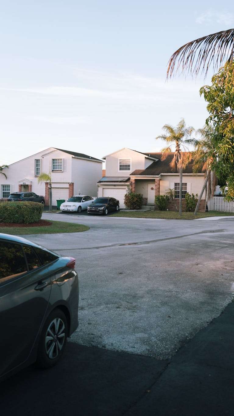 Charming suburban street with modern houses and palm trees at sunset, serene environment.